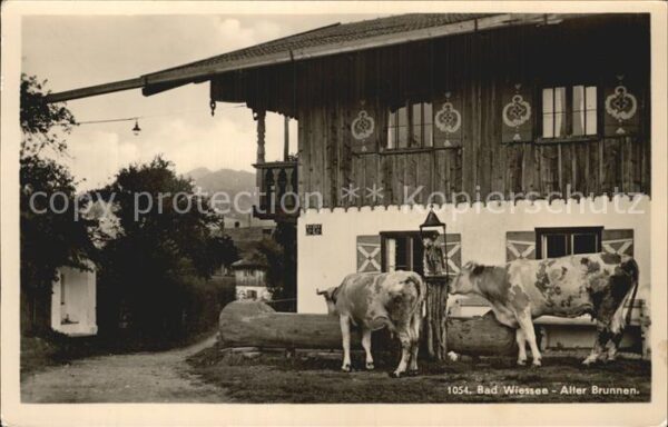 Bad Wiessee Alter Brunnen Bauernhaus Kühe