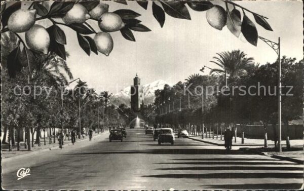 Marrakech Marrakesch Avenue Mohammed V la Koutoubia et l'Atl