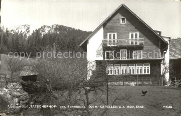 Kapellen Steiermark Alpengasthof Tatscherhof gegen Schneeal