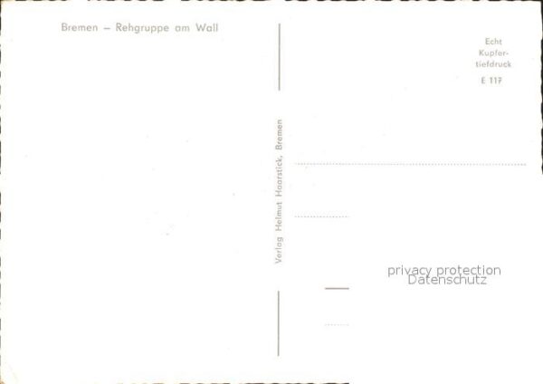 Bremen Rehgruppe am Wall – Bild 2