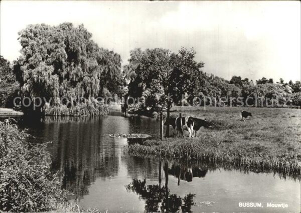Bussum Mouwtje