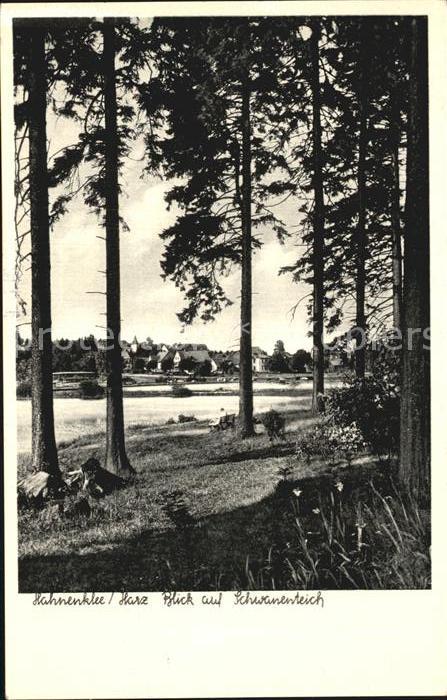 Hahnenklee-Bockswiese Harz Blick auf Schwanenteich