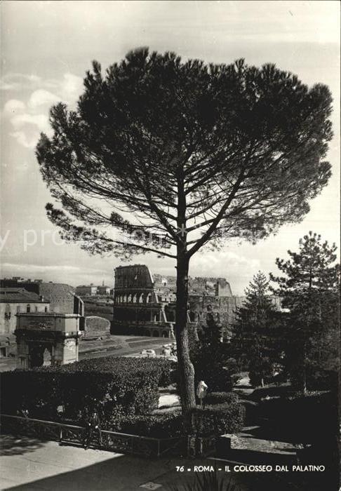 Rom Roma Colosseum Palatinum