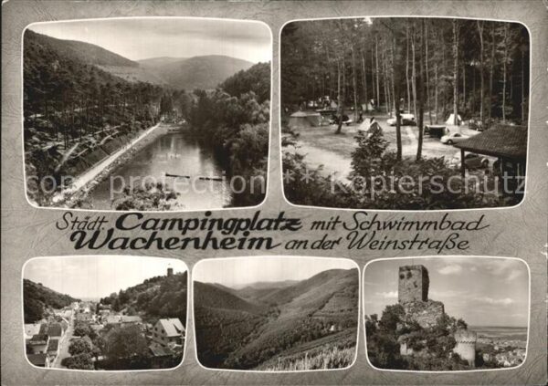 Wachenheim Weinstrasse Campingplatz Schwimmbad Burg