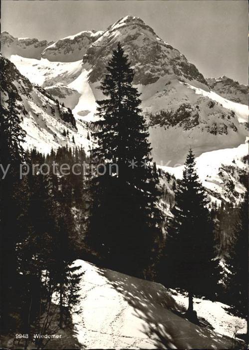 Allgaeu Region Blick vom Giebelhaus auf Wiedemer und K