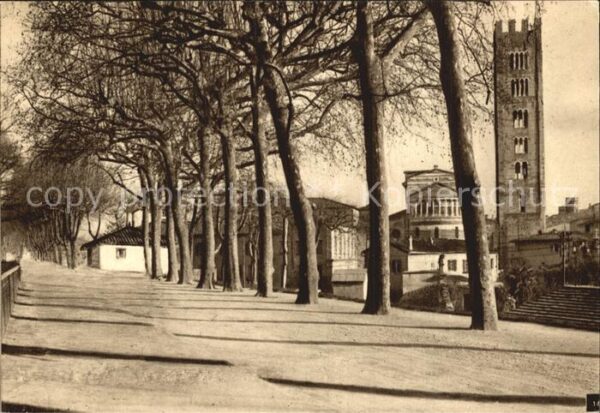 Lucca Ansicht
