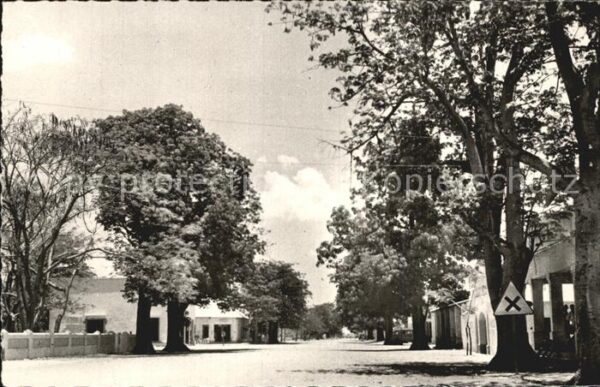 Tschad Tchad Fort Archambault Allee des Kapokiers