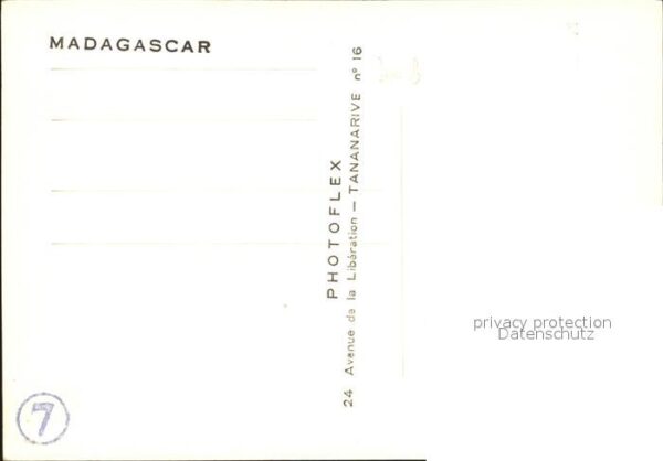Madagascar Vieillard – Bild 2