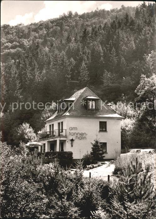 Bad Bertrich Haus am Tannenhain