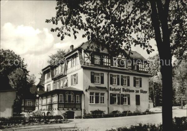 Bad Klosterlausnitz Kurhotel Waldhaus zur Köppe
