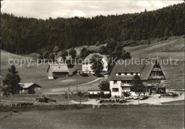 Neustadt Titisee Jostalstüble