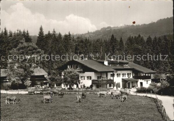 Elmau Gästehaus Alpengut