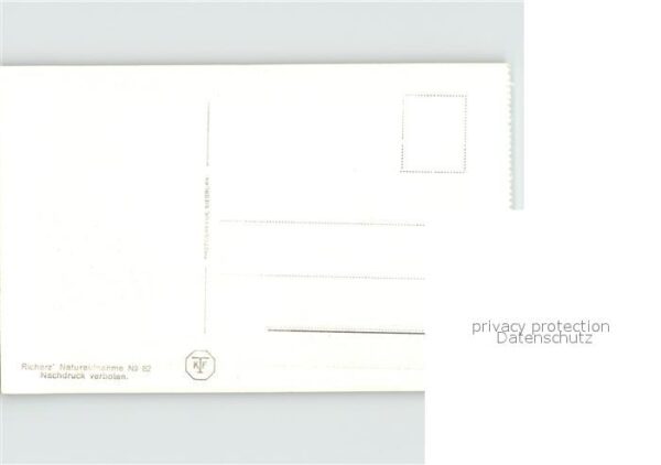 Rech Ahr Rech-Dernau – Bild 2