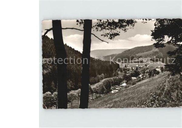 Obertal Baiersbronn