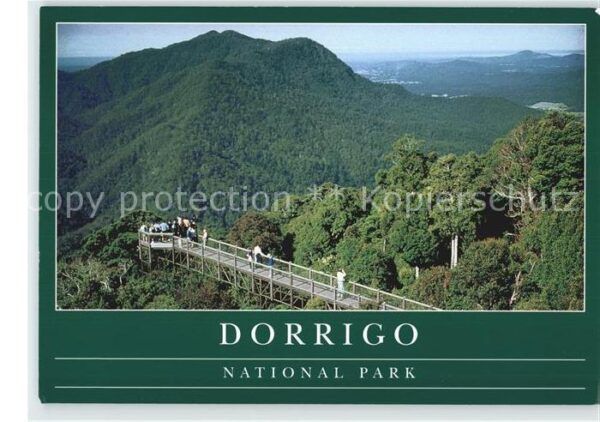 Dorrigo National Park