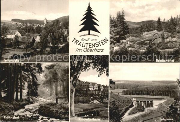 Trautenstein Harz Brockenblick Frühnebel Talsperre Kinder
