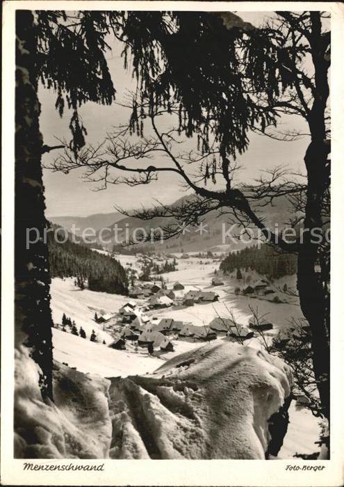 Menzenschwand Winterpanorama