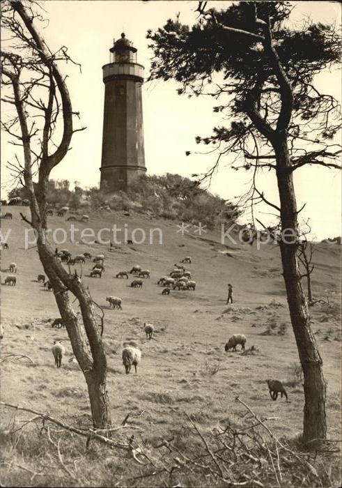 Insel Hiddensee Leuchtturm am Dornbusch