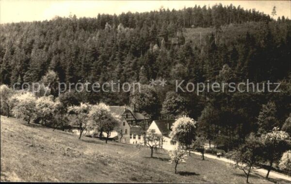 Eisenberg Thueringen Naupoldsmühle im Mühltal Baumblüte