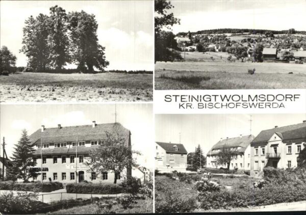 Steinigtwolmsdorf Baumgruppe Gesamtansicht Rat der Gemein