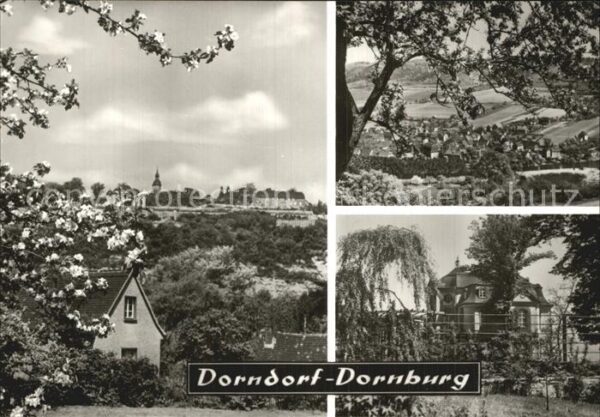 Dorndorf Westerwald Dornburger Schlösser Baumblüte