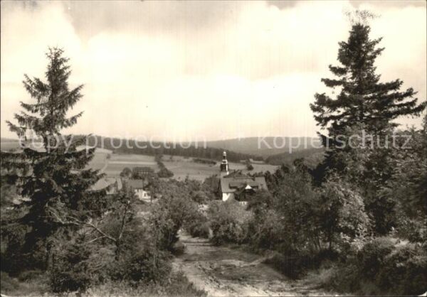 Schellerhau Blick vom Waldrand