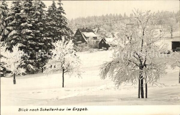 Schellerhau Teilansicht Winterpanorama Handabzug