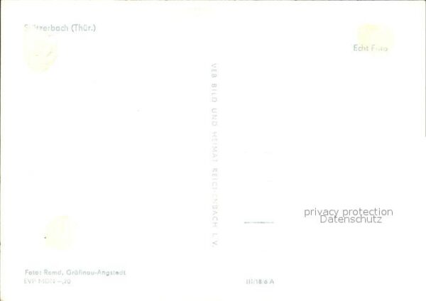 Stuetzerbach Panorama Viehweide Kühe – Bild 2