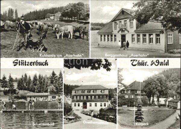 Stuetzerbach Kuhherde am Auerhahn Berggasthaus Kurpa