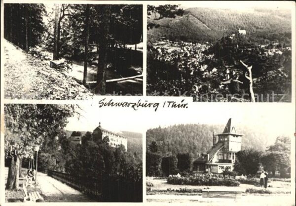 Schwarzburg Thueringer Wald Teilansichten Waldpartie