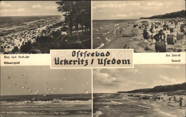 Ueckeritz Usedom Hochufer Strand Möwen
