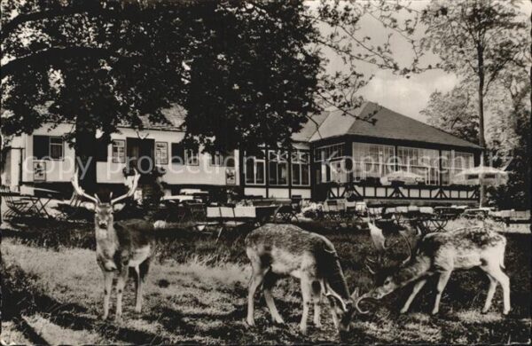 Braunfels Forsthaus im Tiergarten Ausflugslokal