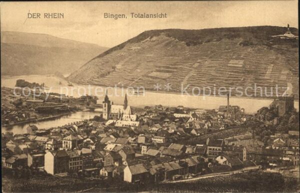 Bingen Rhein Panorama