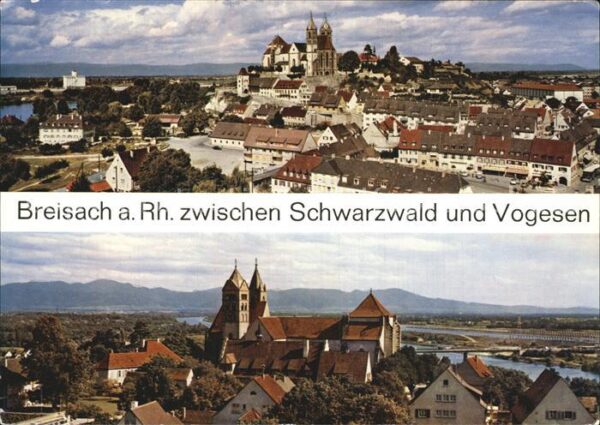 Breisach Rhein Münsterpartien
