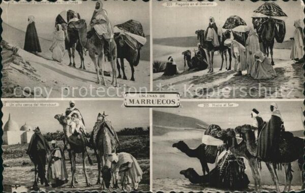 Kamel  Camel Chameau Marokko Typen Plegaria en el Deserto Mo