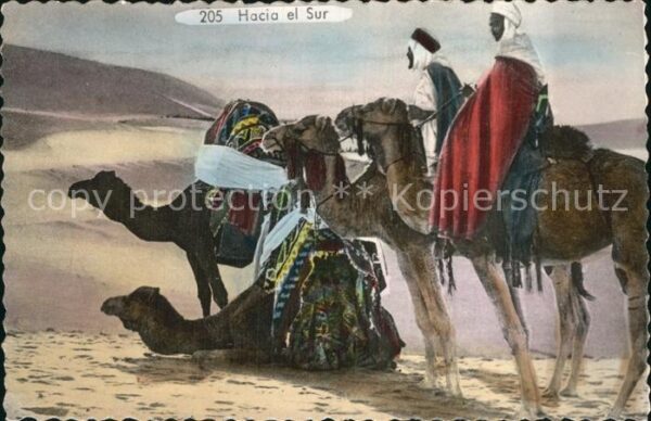 Kamel  Camel Chameau Hacia el Sur