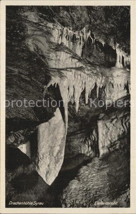 Hoehlen Caves Grottes Drachenhöhle Syrau Elefantenohr