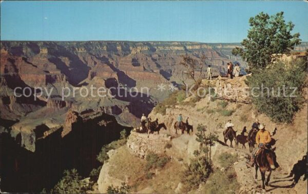 Grand Canyon National Park Arizona Head of Bright An