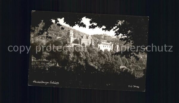 Foto Popp Nr. 247 Heidelberger Schloss