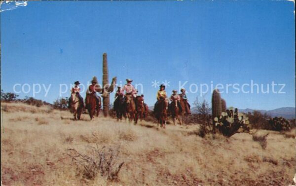 Cowboys Kakteen Arizona