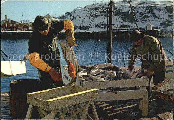 Fischerei Fischer Norway