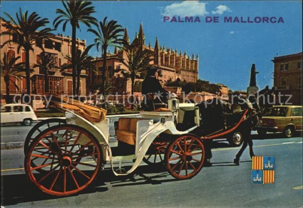Pferdekutschen Palma de Mallorca Paseo Sagrera