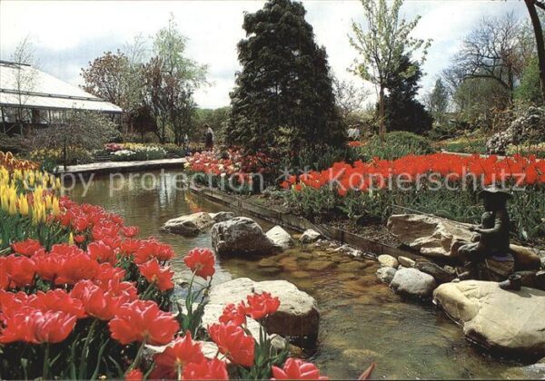 Blumen Tulipshow Frans Roozen Vogelzang
