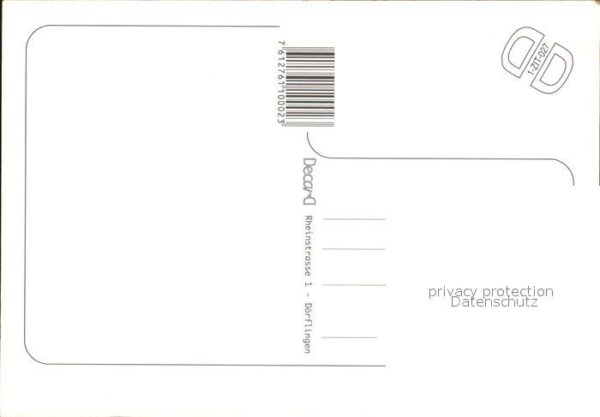 Voegel Kraniche – Bild 2