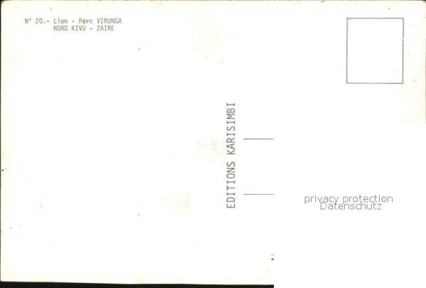 Loewe Parc Virunga Nord Kivu Zaire – Bild 2