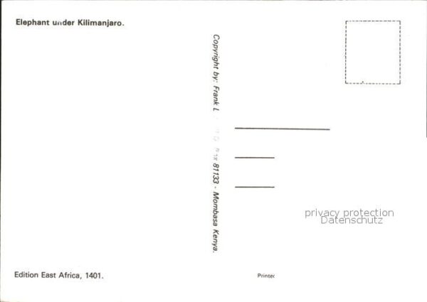 Elefant Kilimanjaro – Bild 2