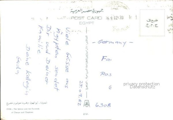 Kamel  Camel Chameau Giza Sphinx Pyramids of Cheops and Chep – Bild 2