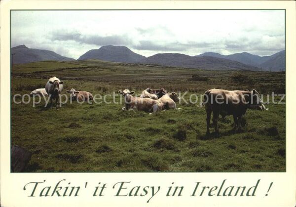 Kuehe Ireland