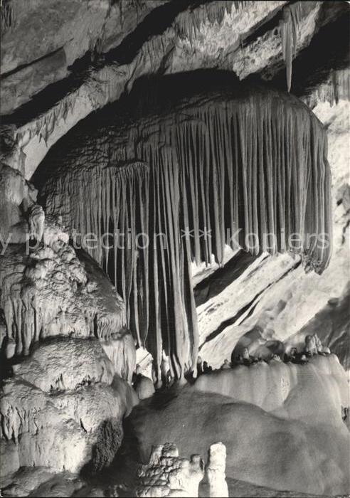 Hoehlen Caves Grottes Postojnska Jama Slowenien