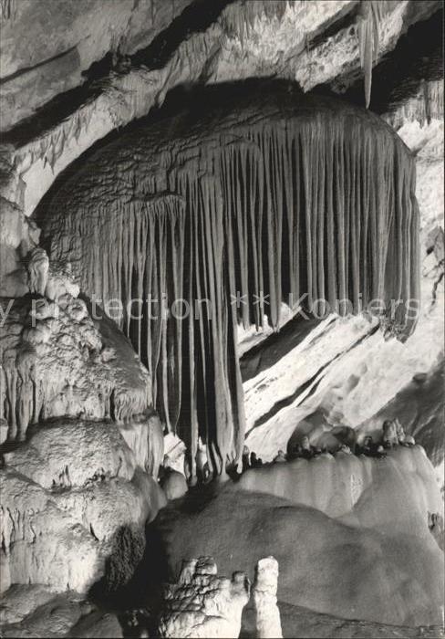 Hoehlen Caves Grottes Postojnska Jama Slowenien